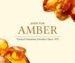 Shop For Amber