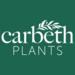 Carbeth Plants