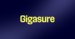 Gigasure
